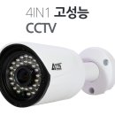 나비랑 바둑이 이미지