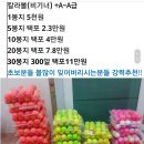 비비드3