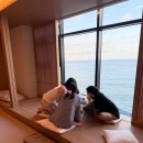 우정사우나 | 휴가는 삼척으로! 뷰 최고 감성숙소🥰 [삼척시소소 화온재] 자쿠지, 사우나, 수영장, 조식 내돈내산 후기!