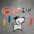 놀러오개 애견유치원 애견호텔 김해점 | 마포 강아지 유치원 놀러오개 애견유치원 애견호텔 서대문점 강아지호텔 후기