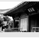 별빛 산골 능이버섯 이미지