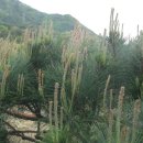 와동농장 이미지