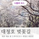 한국수자원공사 대청댐물문화관 | 대전 혼자 여행 추천 봄 힐링코스 대청호 벚꽃길 드라이브 뚜벅이코스로도 최고!