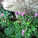 세상을보는 창 `NetizenEyeNews`2007년 9월 5일[수] 이미지