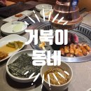 거북이동네 해운대좌동점 이미지