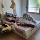 유품정리.가정폐기물.생활폐기물.식당폐업철거매입가전수거