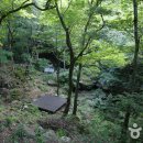 국립지리산자연휴양림 Daum카페