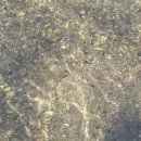 산울림민박 이미지