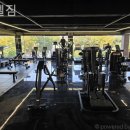 디엘 짐 이미지