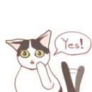 춘자소머리국밥 이미지