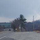 신상동 인공습지 이미지