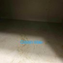 성사1차풍림아파트 이미지