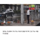 비올 때 차 물튀기기 방어법 .gif 이미지