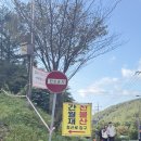 한국알프스(주)노동조합 | 울산 영남알프스 억새 명소 / 초보자도 가능한 사슴농장 코스 / 소요시간·주차·준비물 정리