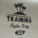 트레이닝팜트리 이미지