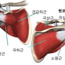 어깨통증의 도수치료 이미지