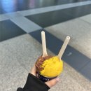 D00186 | [신혼여행] 이탈리아 로마 자유 여행 코스 추천1(맛집, 관광명소, 패키지 x)