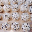 배재로233번길 이미지