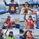 참가자미 이미지