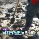난지도소나무펜션