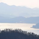 조도바다