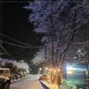 인터넷콘도펜션