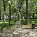 가로수길 이미지