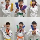 국가대표 샛별태권도장 이미지