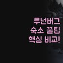 해담은모텔 | 루넌버그 숙소 추천 | 호텔 모텔 코티지 완벽 비교 | 여행 스타일별 최적의 선택 | 솔직 후기로 결정...