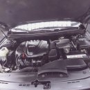 대성모터스 이미지