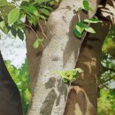 원더우맘 이미지