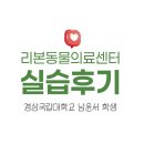 경상국립대학교병원 | 경상국립대학교 남윤서 실습생 리본동물의료센터 실습 후기 | 부산 동래 24시 리본동물의료센터