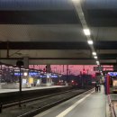 다은민박 | 🇫🇷 파리 센강에 폰 빠뜨린 썰 푼다