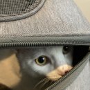 원스동물병원 이미지