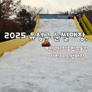 연구단지운동장(건너편) | 2025 유성구 눈썰매장 후기, 연구단지종합운동장 어린이 눈썰매장, 주말 방문 리얼 후기