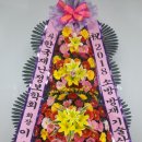 육육플라워