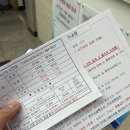 망마경기장 | 여수 망마경기장 수영 수강신청, 가격, 시간표 초급반 강습 후기