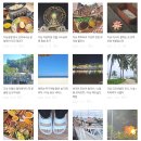 웰라운드 무역 이미지