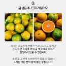 아달달농산 | 아달달농산 | 당도선별 제주감귤 2kg 후기
