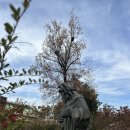 순심여자중학교 | 대구 근교 아이와 가볼만한곳 칠곡 성 베네딕도회 왜관수도원 나들이 하기 좋아