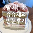 슈슈제과 이미지