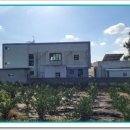 색달동-5 이미지