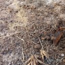 해룡농장2 이미지