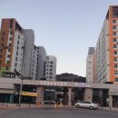 반곡동 행복누림터 다목적체육관 | 내돈내산 반곡동 세종장애인형국민체육센터 일일수영 이용 찐후기 (feat. 기구필라테스 강습도 함)