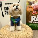 하림식당 이미지