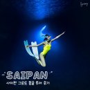 다이빙포인트 | [공지] 사이판그로토투어 프리다이빙 스노클링 세계3대 다이빙 포인트 후기