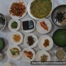 혜성펜션 | 9박10일 6일차 섬진강 플로렌스 /천년다향길 2코스 / 혜성식당 /티카페하동/ 솔향맷돌콩국수 / 악양별서