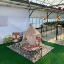 다한농장 이미지