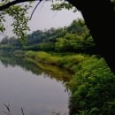 풍치축산 이미지