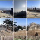 야생사슴농장 이미지